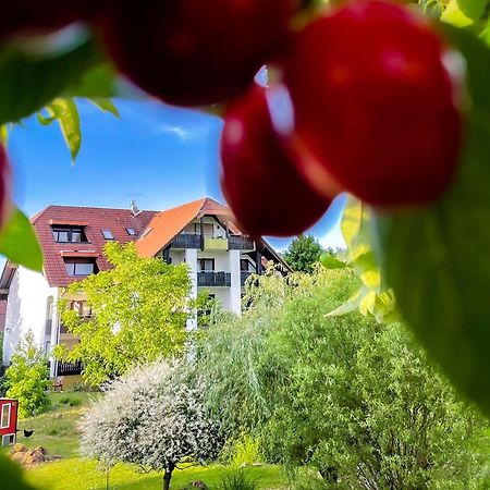 Gasthaus Hirschenstube & Gaestehaus Gehri Waldkirch Exterior foto